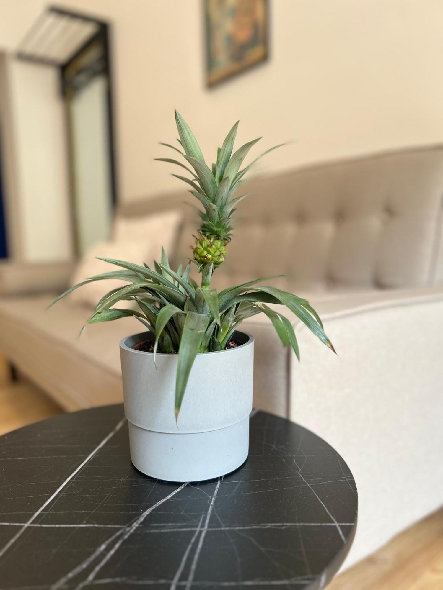 Modern Stay I Cosy & Central Apartments Koblenz  Ngoại thất bức ảnh